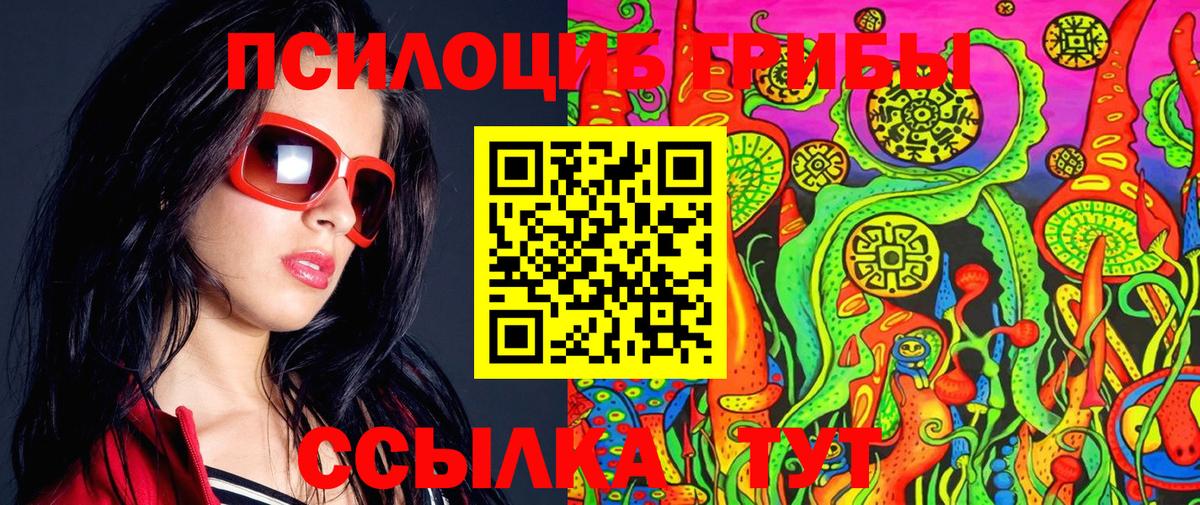 Галлюциногенные грибы Psilocybe Майкоп