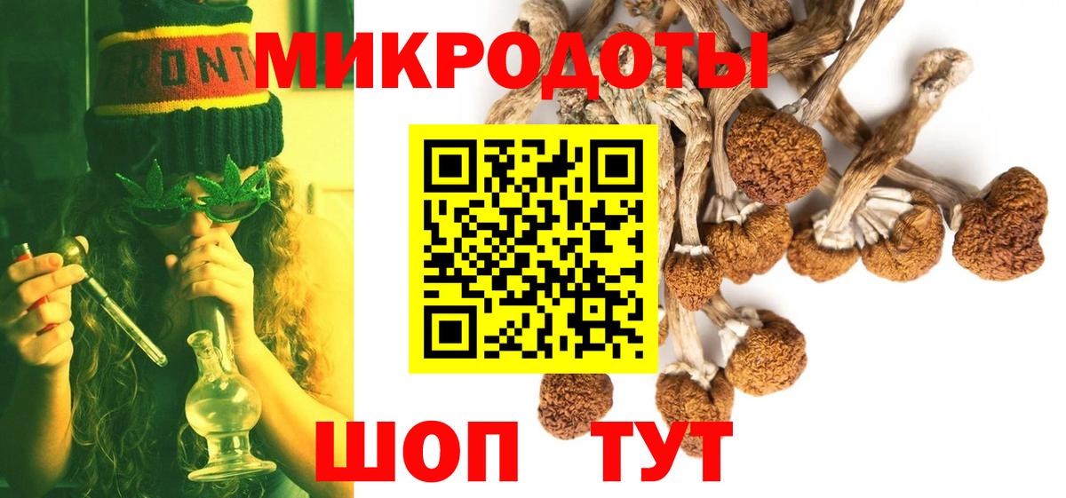 Майкоп  купить наркоту  Галлюциногенные грибы прущие грибы  Вход с VPN  Псилоцибиновые грибы Psilocybine cubensis 
