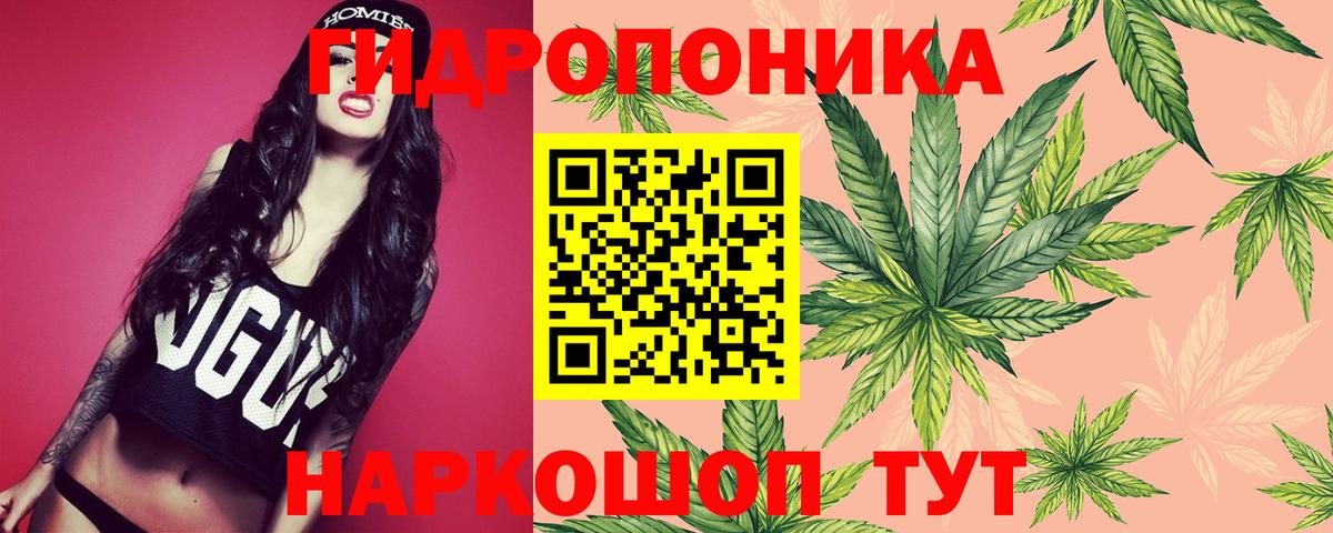 Шишки марихуана марихуана  Конопля конопля  Бошки марихуана Ganja  Вход с VPN  МАРИХУАНА семена  Майкоп 